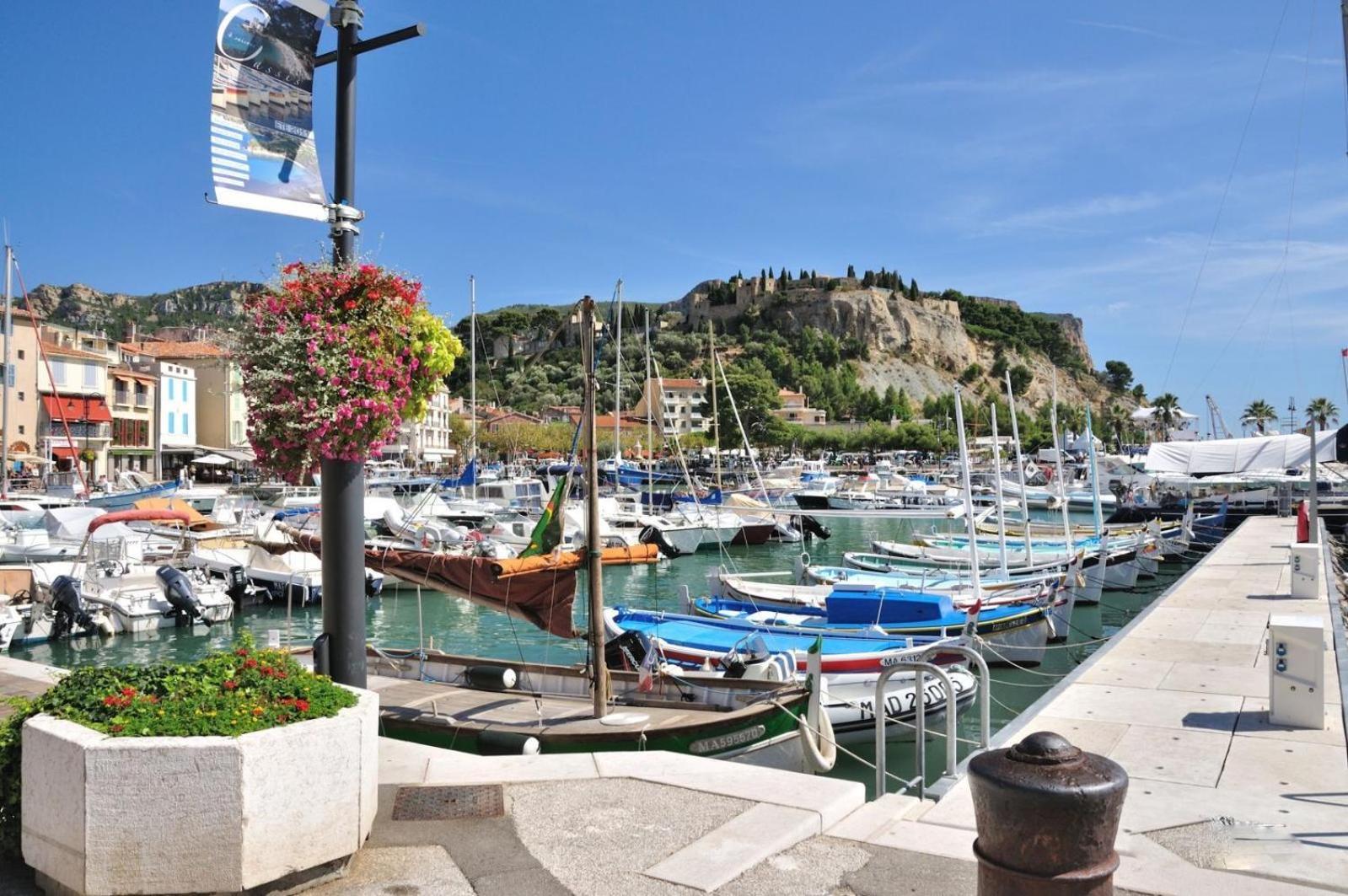 Magnifique * Cassis